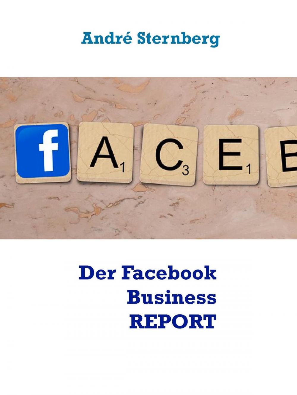 Big bigCover of Der Facebook Business REPORT