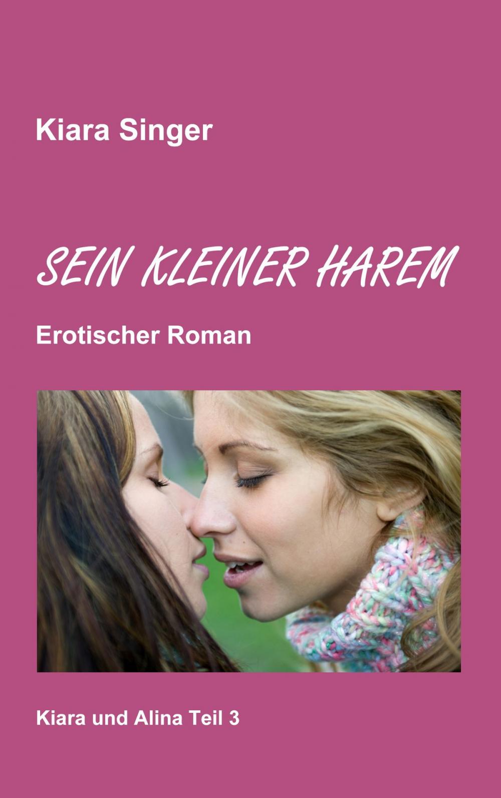 Big bigCover of Sein kleiner Harem