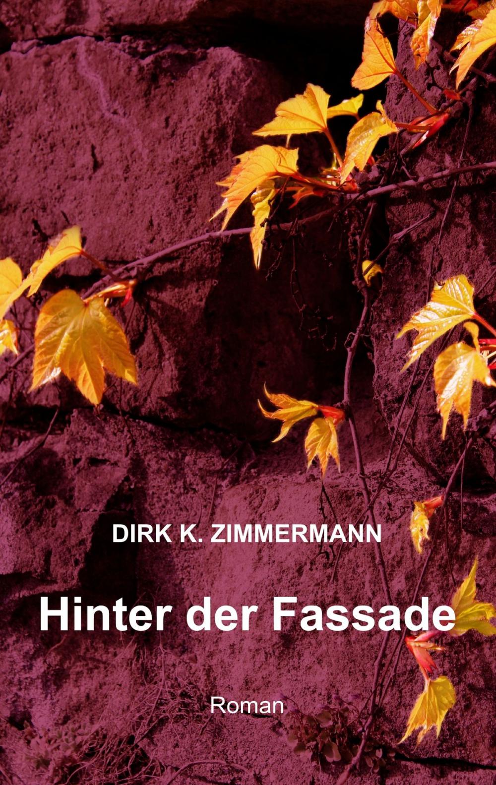 Big bigCover of Hinter der Fassade