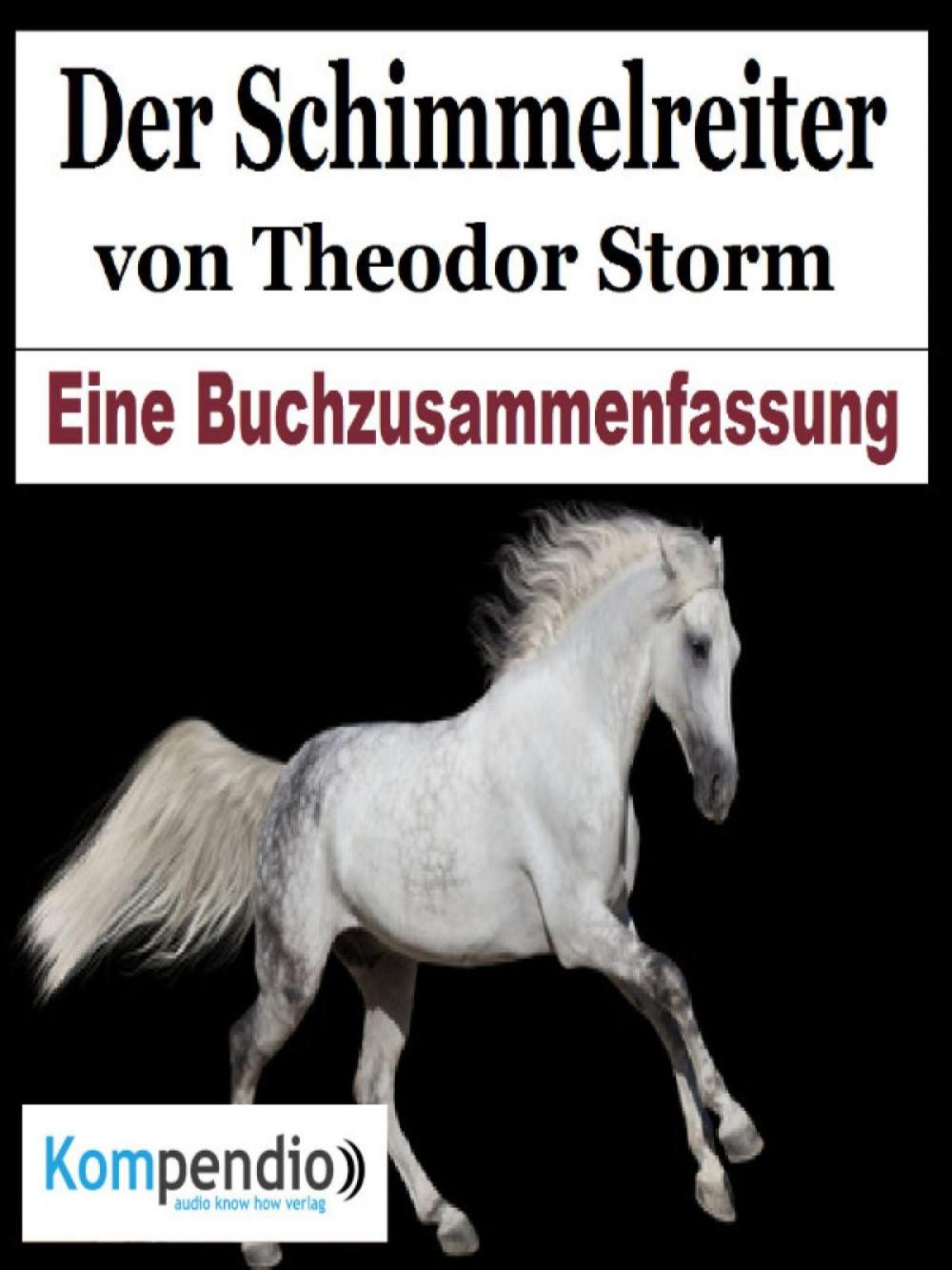 Big bigCover of Der Schimmelreiter von Theodor Storm