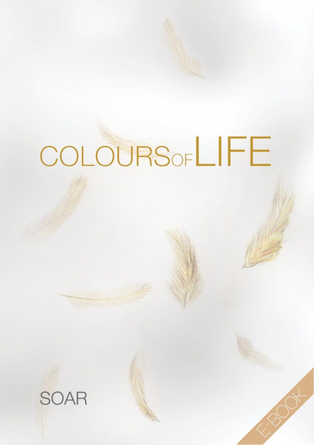 Big bigCover of Colours of Life