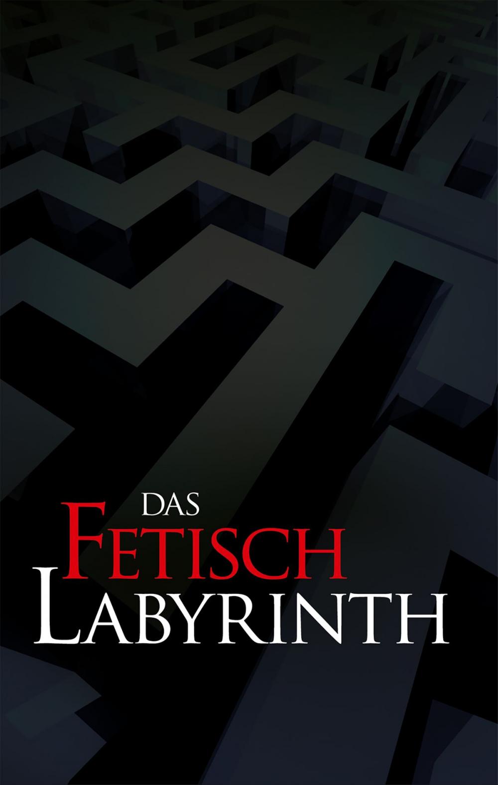 Big bigCover of Das Fetischlabyrinth