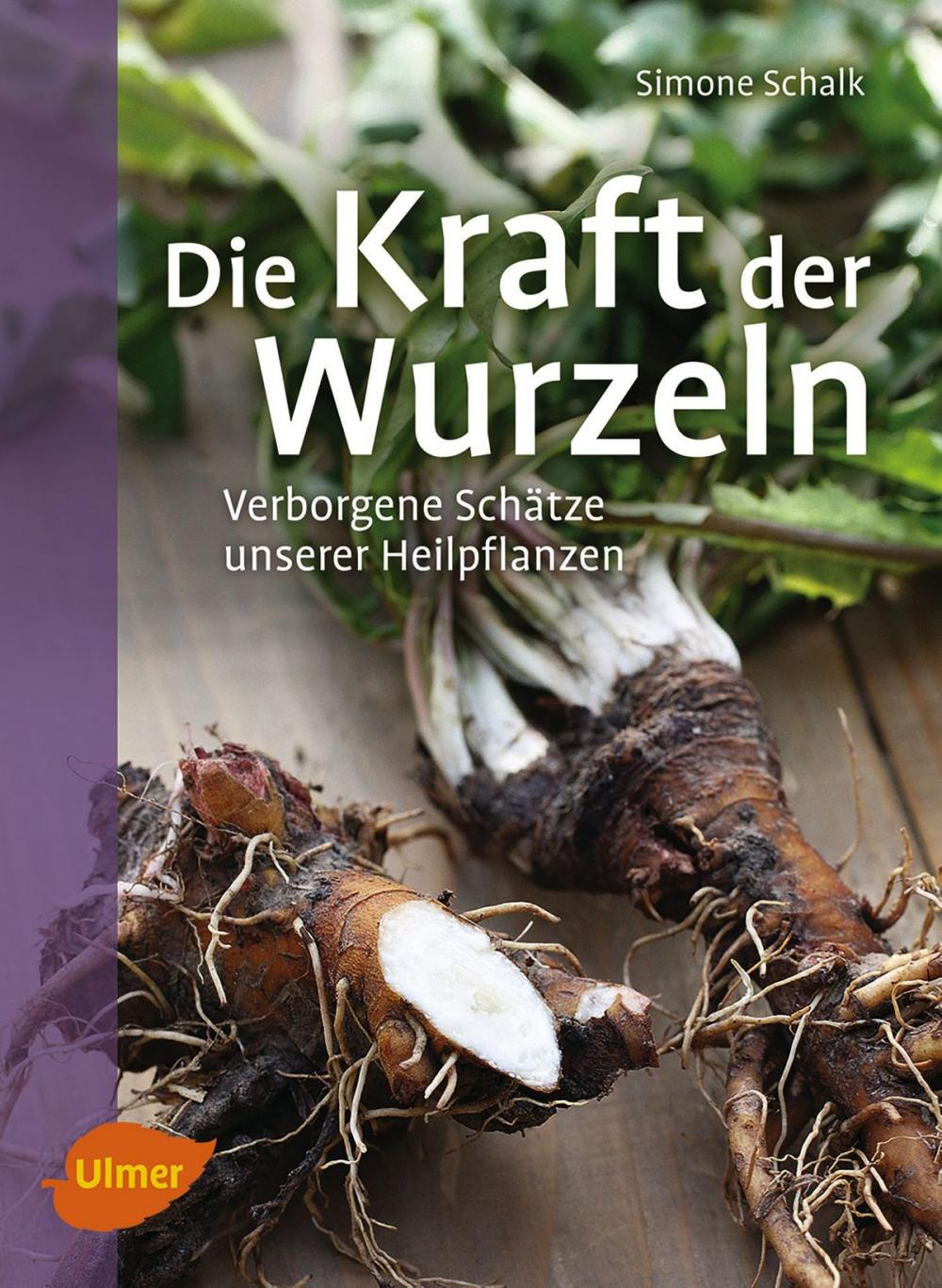 Big bigCover of Die Kraft der Wurzeln