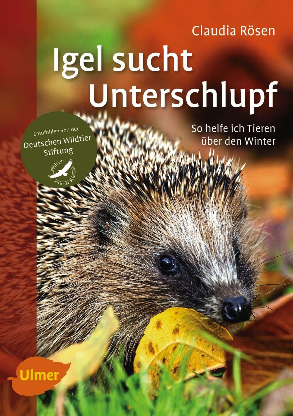 Big bigCover of Igel sucht Unterschlupf