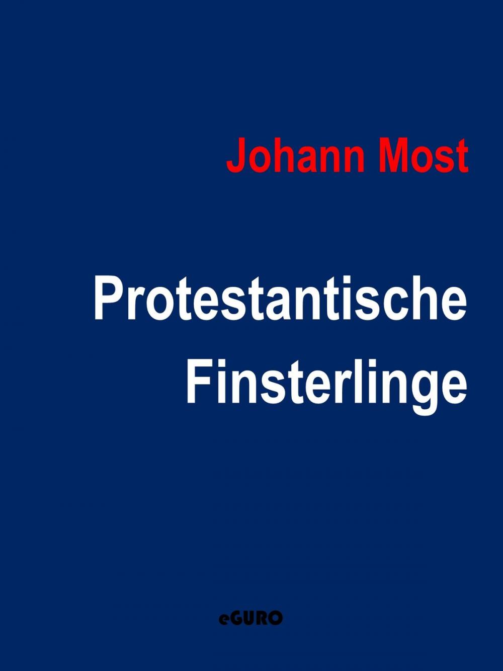 Big bigCover of Protestantische Finsterlinge