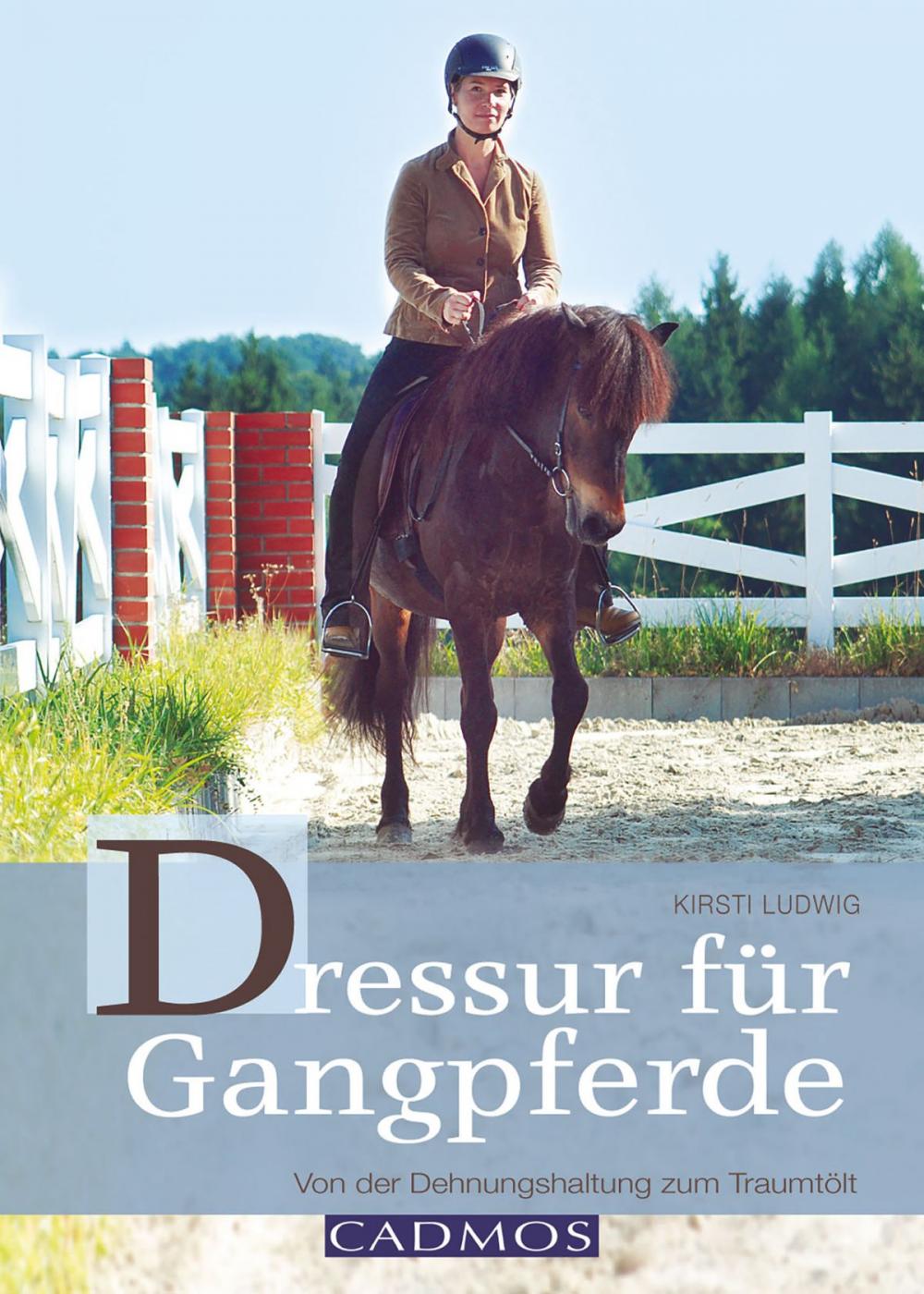 Big bigCover of Dressur für Gangpferde