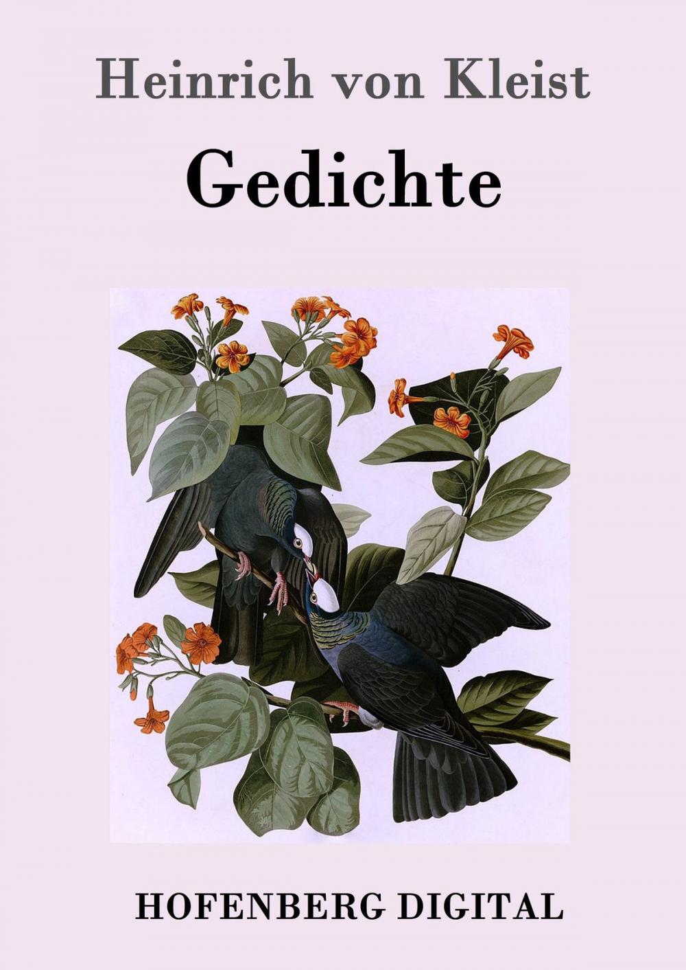 Big bigCover of Gedichte / Gelegenheitsverse und Albumblätter