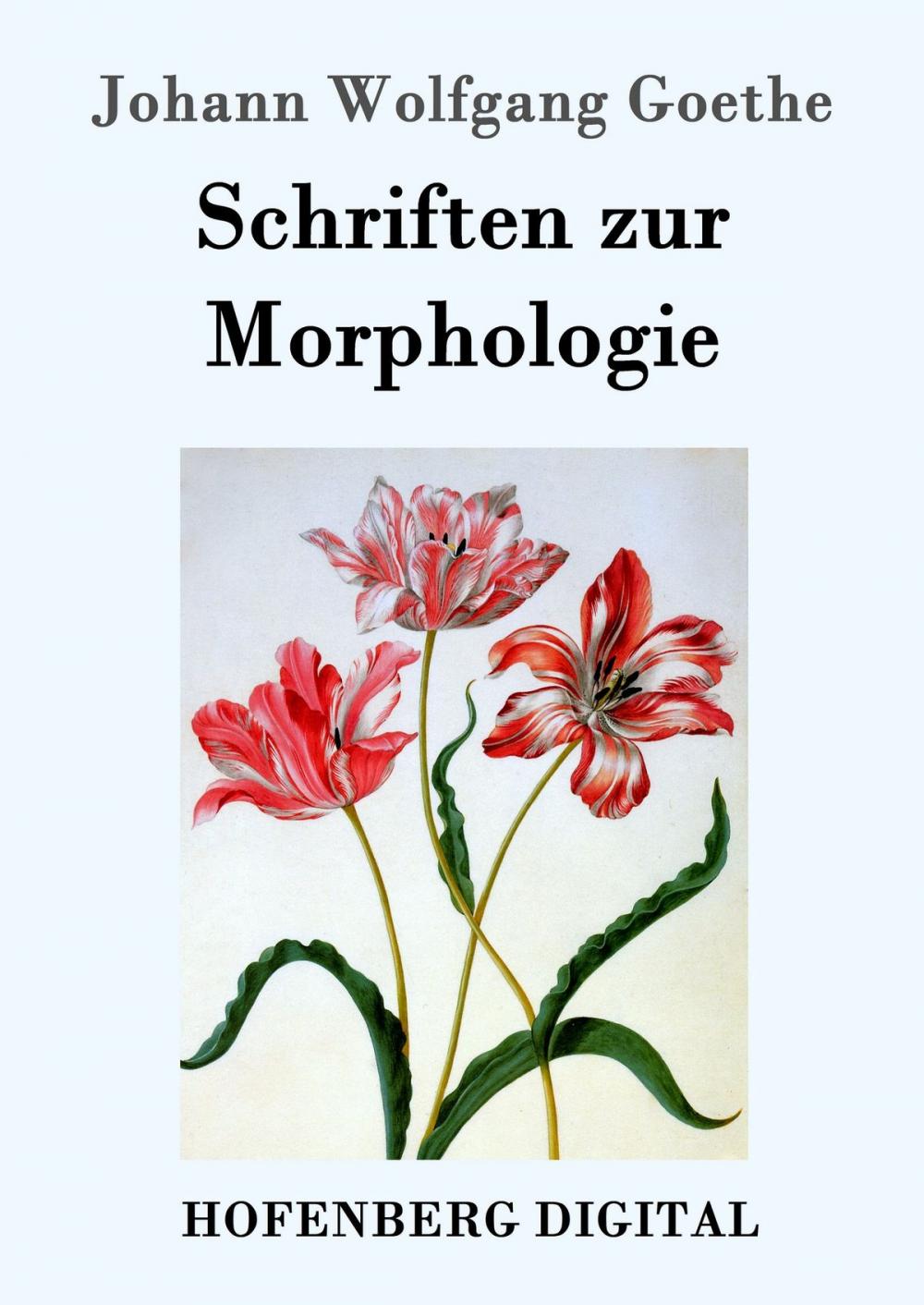 Big bigCover of Schriften zur Morphologie