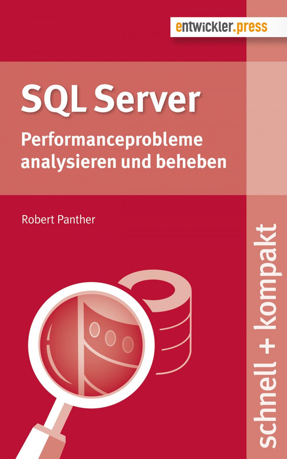 Big bigCover of SQL Server