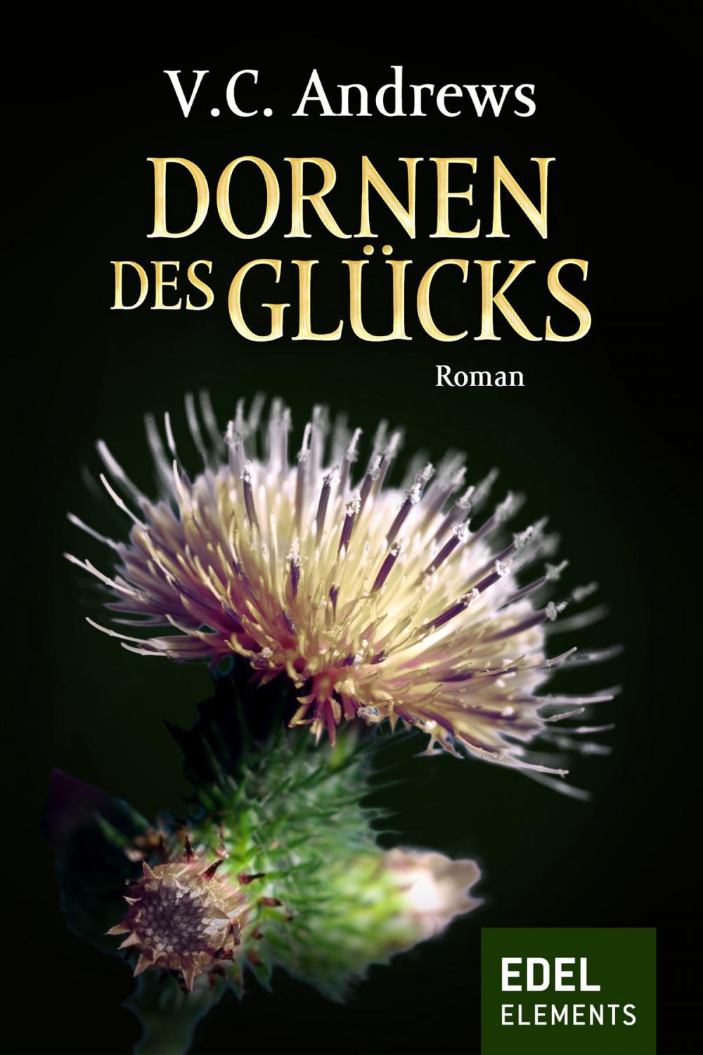 Big bigCover of Dornen des Glücks