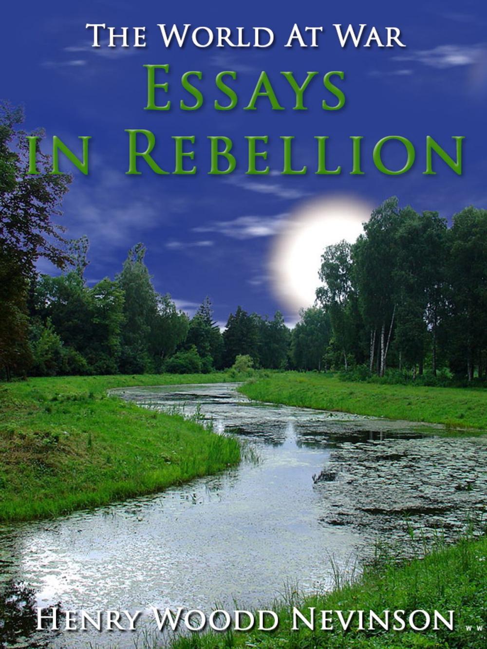 Big bigCover of Essays in Rebellion