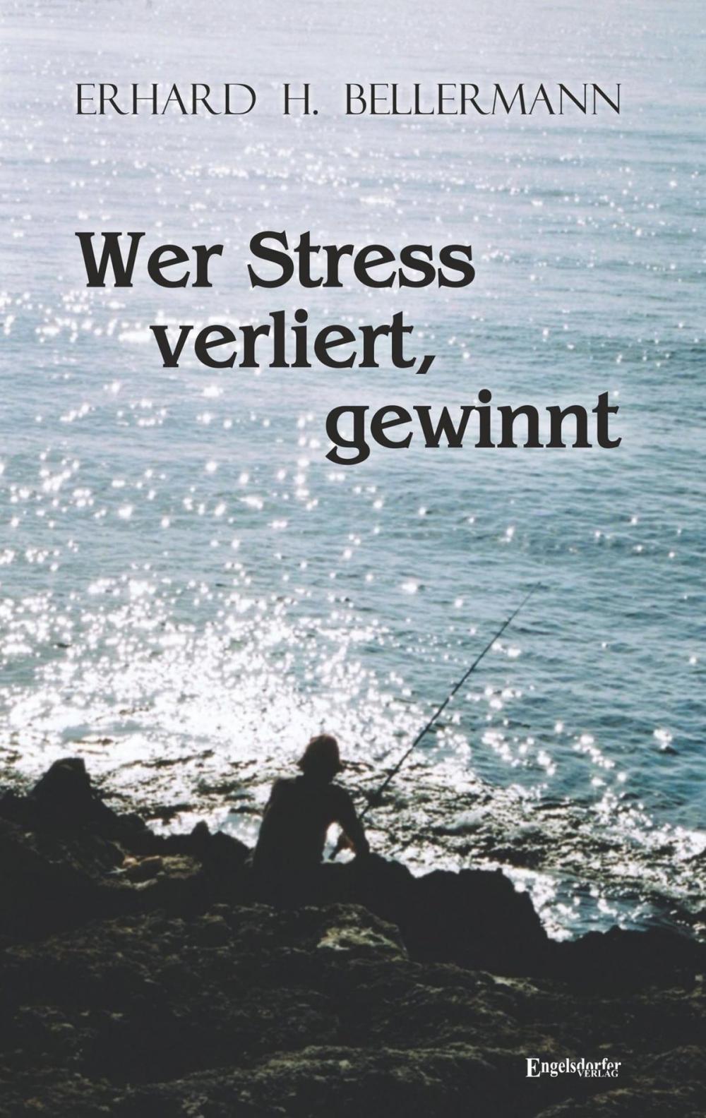 Big bigCover of Wer Stress verliert, gewinnt