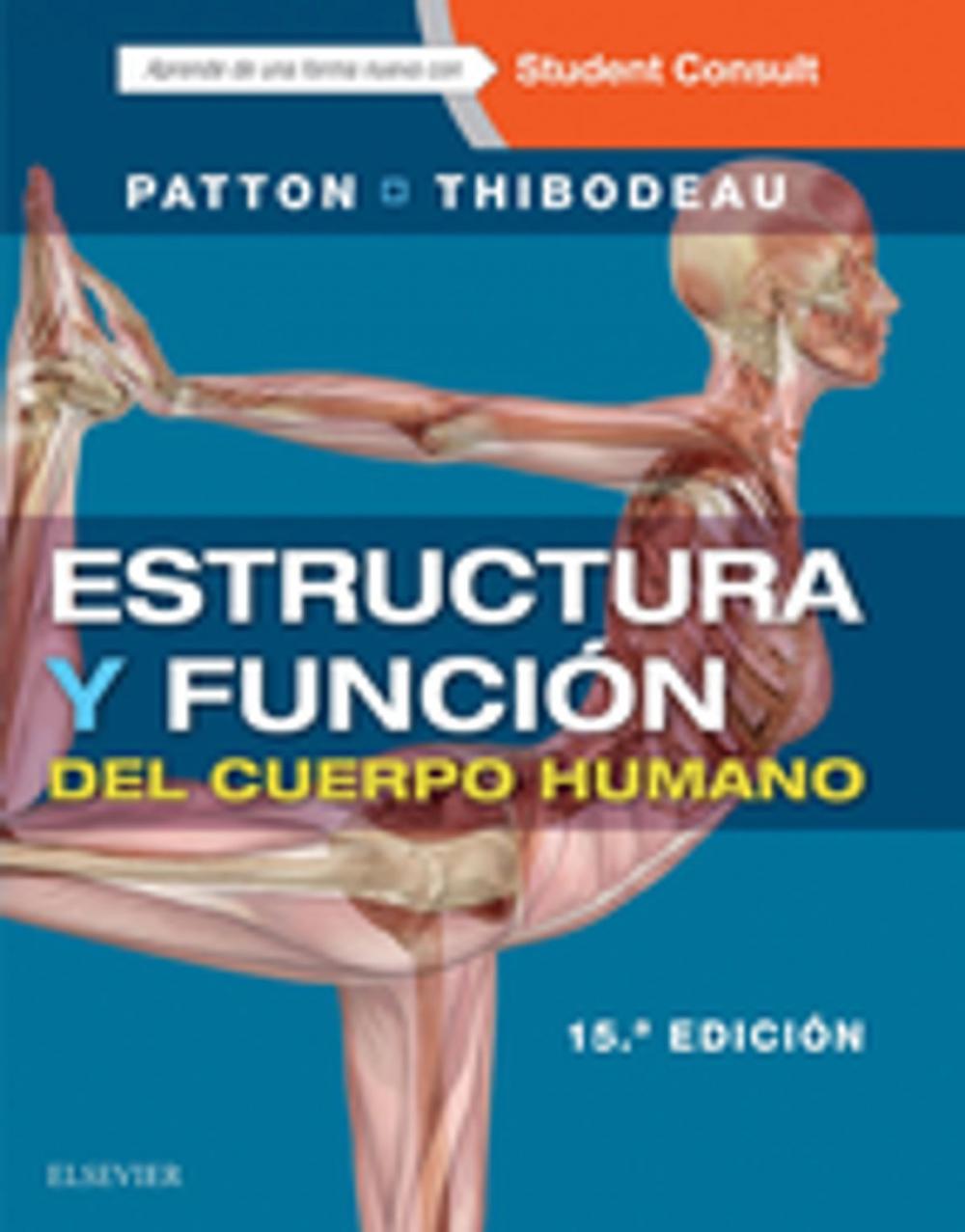 Big bigCover of Estructura y función del cuerpo humano