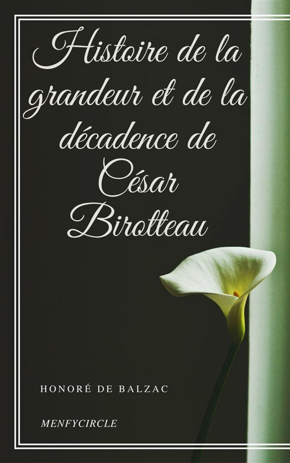 Big bigCover of Histoire de la grandeur et de la décadence de César Birotteau