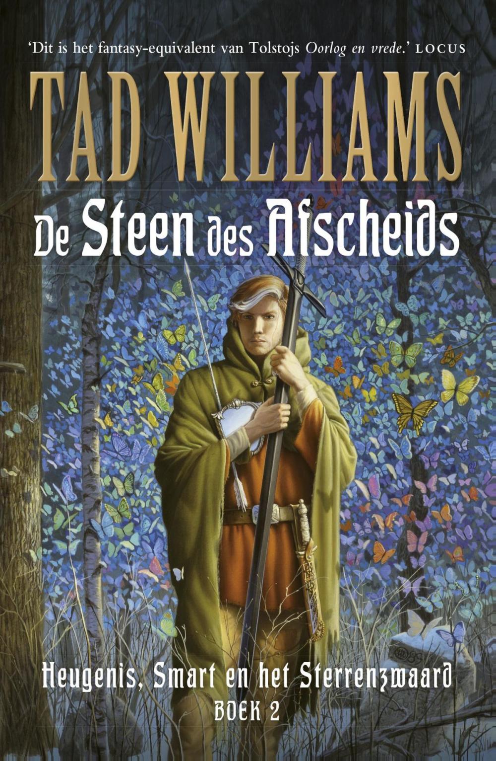 Big bigCover of De steen des afscheids