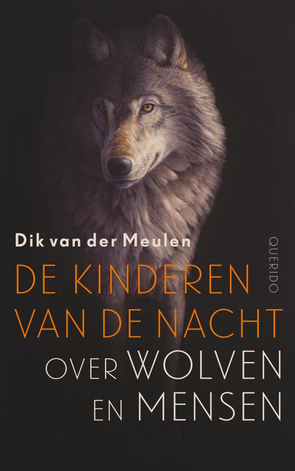 Big bigCover of De kinderen van de nacht