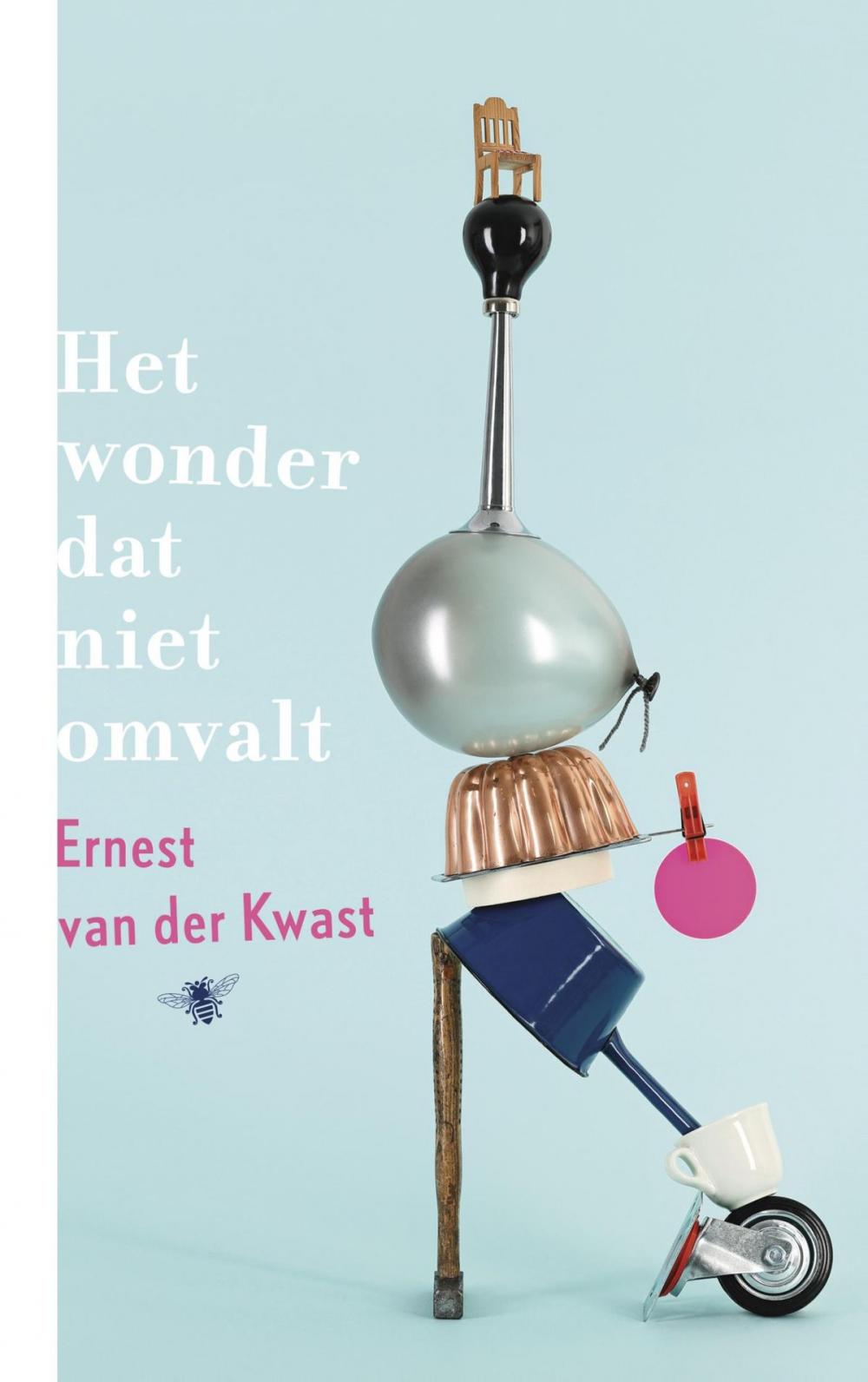 Big bigCover of Het wonder dat niet omvalt