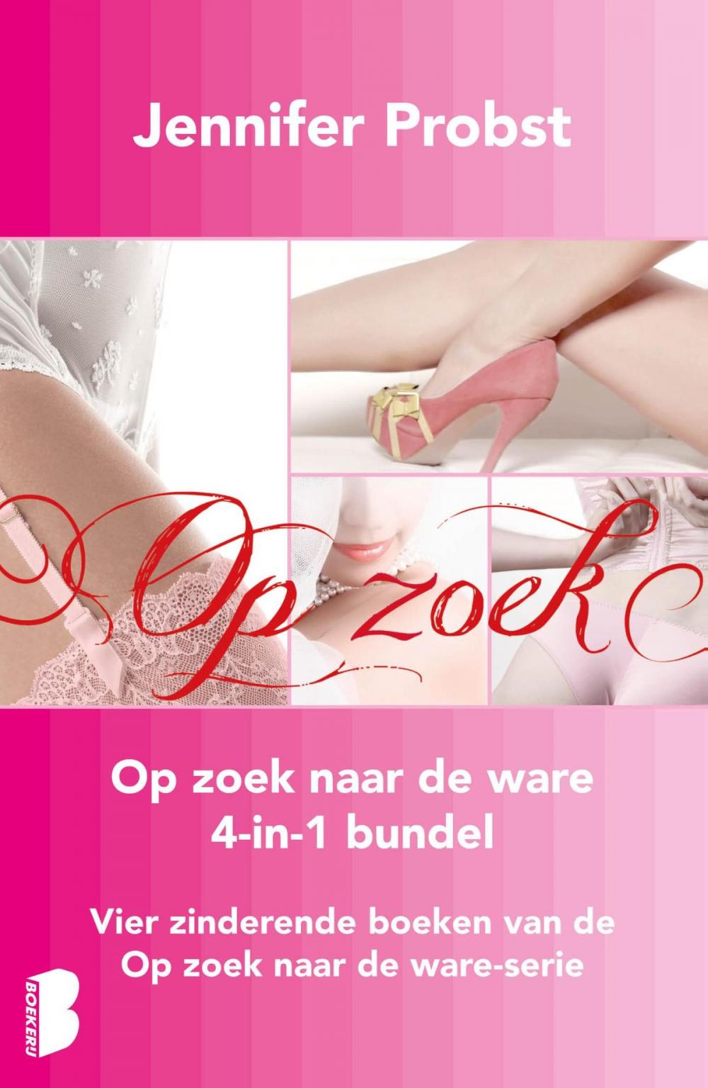 Big bigCover of Op zoek naar de ware bundel (4-in-1)