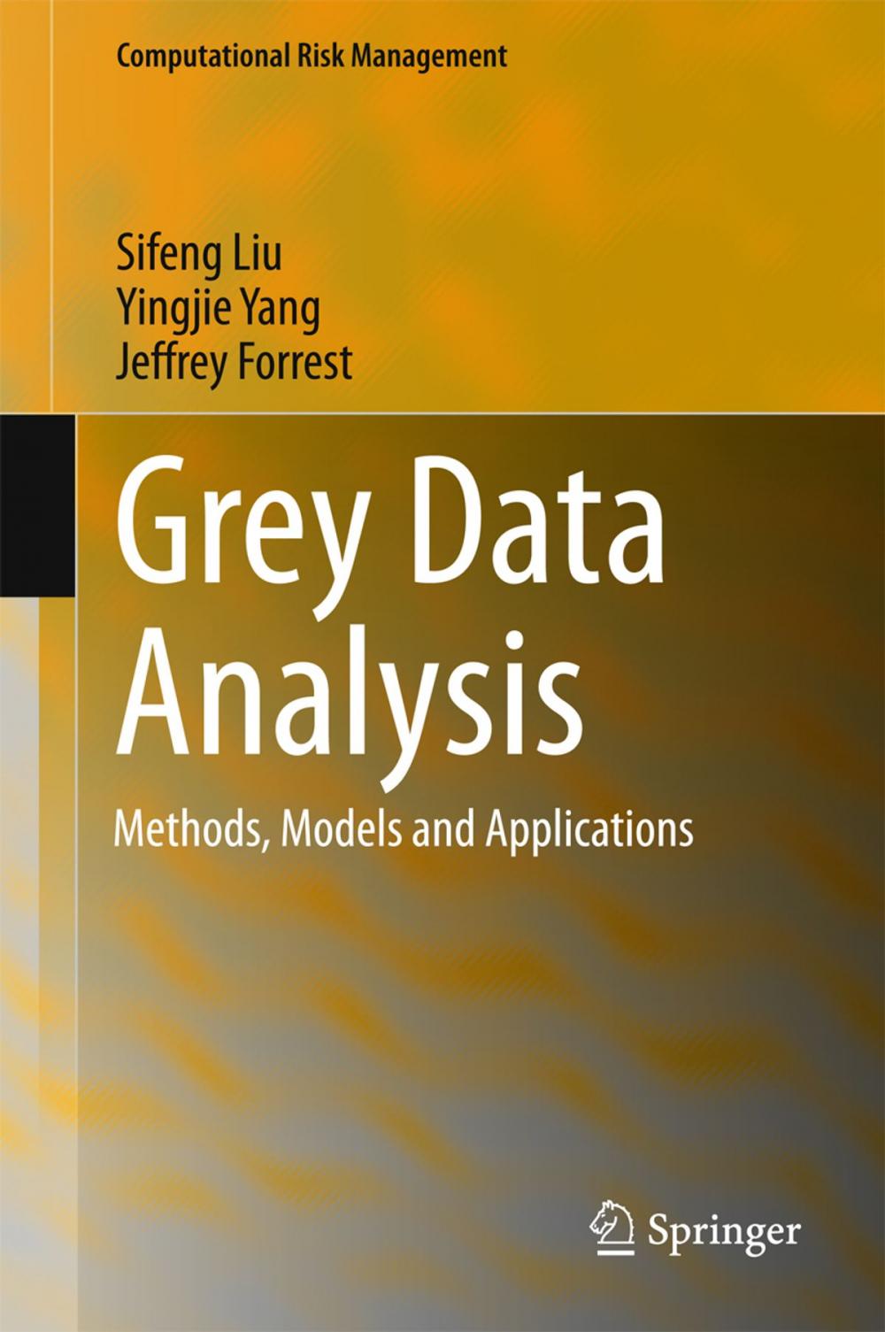 Big bigCover of Grey Data Analysis