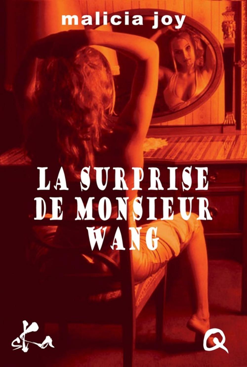 Big bigCover of La surprise de Monsieur Wang