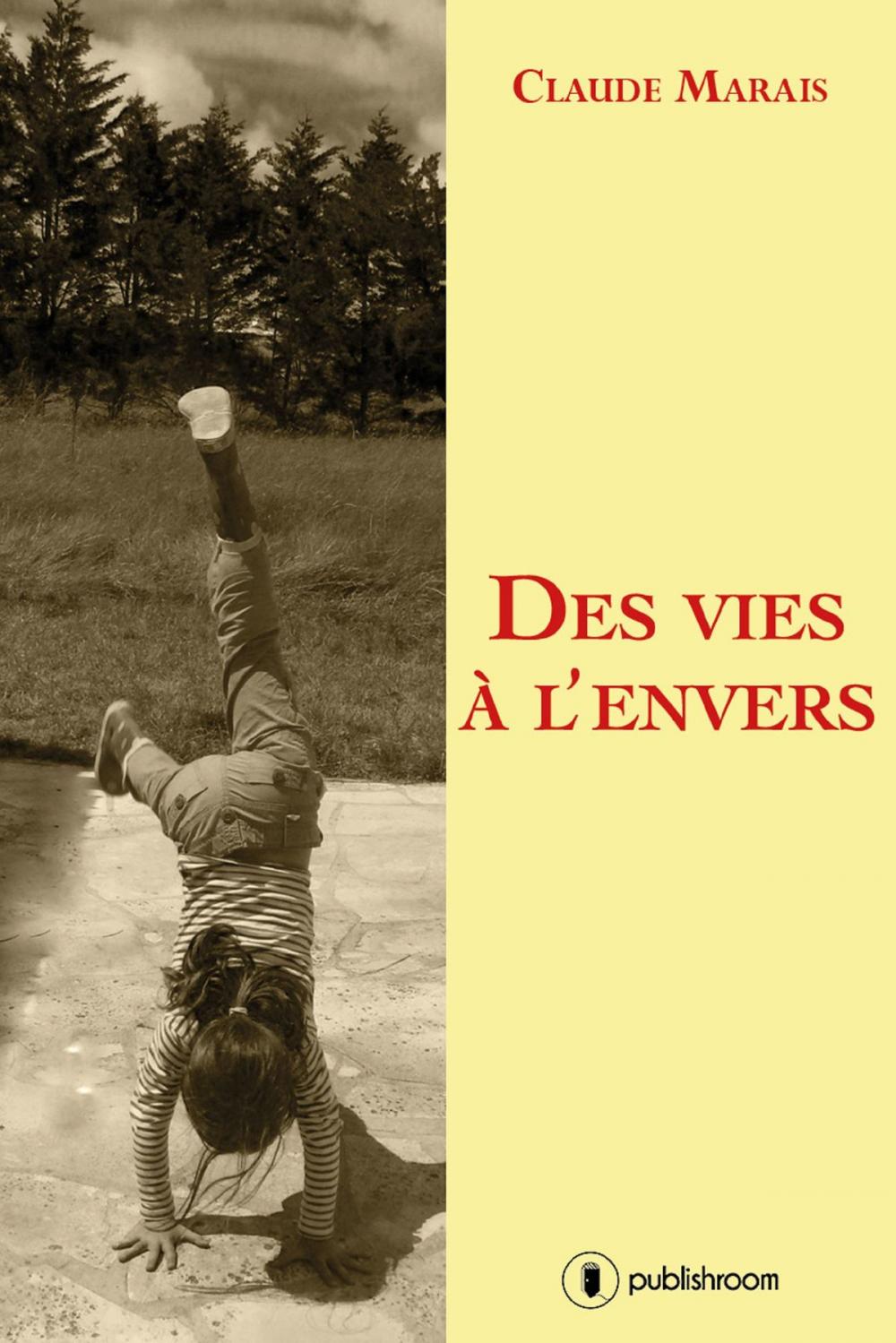 Big bigCover of Des vies à l'envers