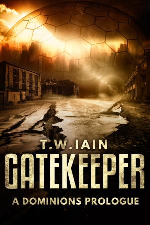 Cover of the book Gatekeeper by Jonathan Evan Hudson