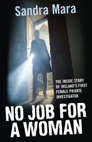 bigCover of the book No Job For A Woman by 