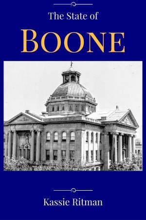 Cover of the book The State of Boone by Michael J. Totten