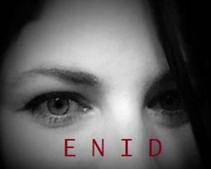 Cover of the book ENID by RJ Saxon