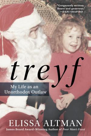 Cover of the book TREYF by Kio Stark