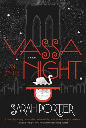 Cover of the book Vassa in the Night by Lisa Desrochers