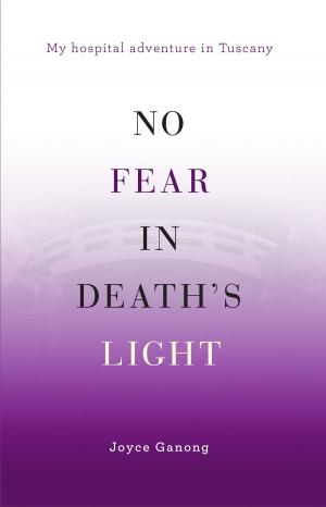 Book cover of No Fear in Death’s Light