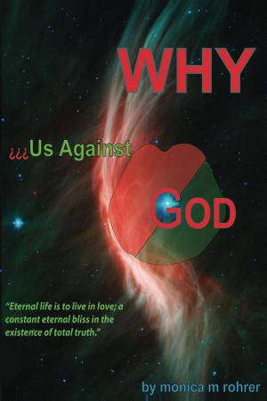 Book cover of WHY - Us Against God?