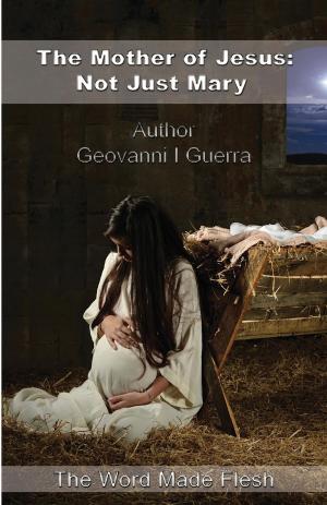 Cover of the book The Mother of Jesus: Not Just Mary by Anita Breitenberg