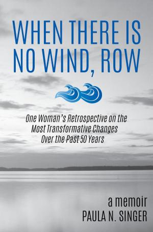 bigCover of the book When There Is No Wind, Row by 