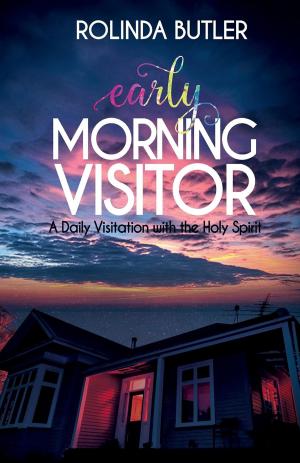 Cover of the book Early Morning Visitor by Ivan Kos