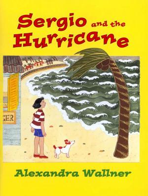 Cover of the book Sergio and the Hurricane by Lynne Matson