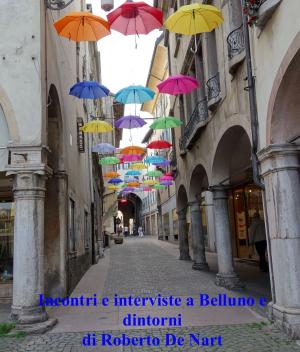 Cover of the book Incontri e interviste a Belluno e dintorni by Jim Sterba