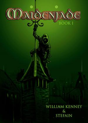 bigCover of the book Maidenjade Book 1 by 