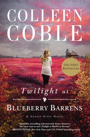 Cover of the book Twilight at Blueberry Barrens by Dawn Rae MIller