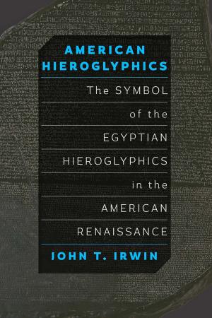 Cover of the book American Hieroglyphics by 