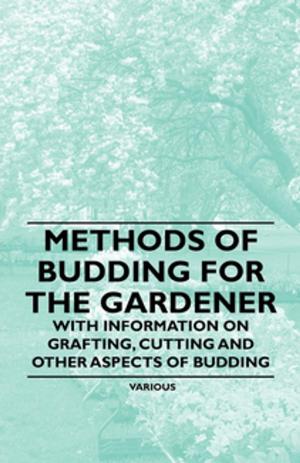 bigCover of the book Methods of Budding for the Gardener - With Information on Grafting, Cutting and Other Aspects of Budding by 