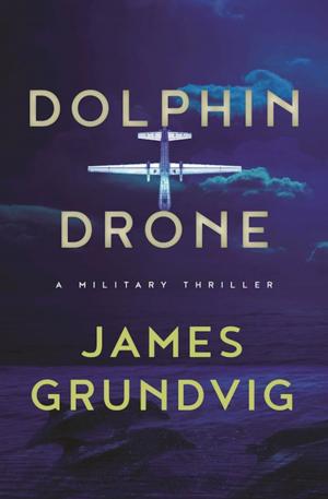 Cover of the book Dolphin Drone by Meghan O'Flynn