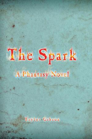 Cover of the book The Spark by David Michael Williams