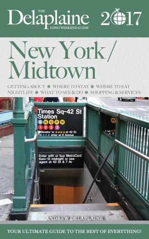 Book cover of New York / Midtown - The Delaplaine 2017 Long Weekend Guide