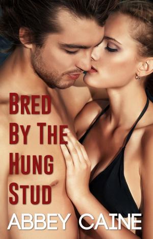 Cover of the book Bred By The Hung Stud by Elle Swift