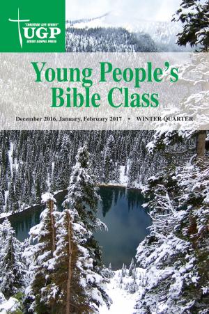 Cover of the book Young People's Bible Class by David Rowland