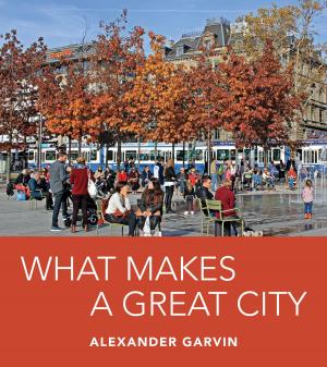 Cover of the book What Makes a Great City by Robert Gottlieb