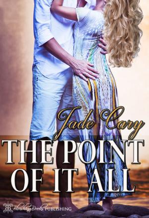 Cover of the book The Point of It All by Misty Malone