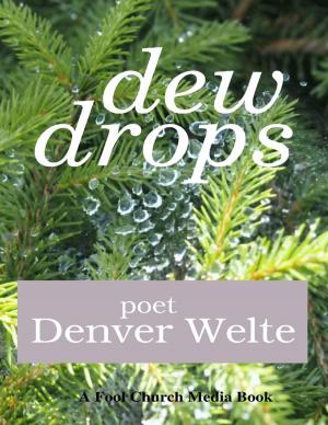 Cover of the book Dew Drops by brett brady